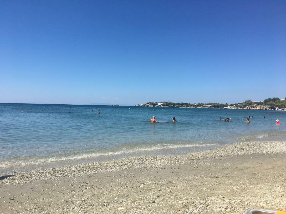 Villa Christina With Private Pool In Saronida, Near Stunning Beaches, Athens Airport & Sounio Esterno foto